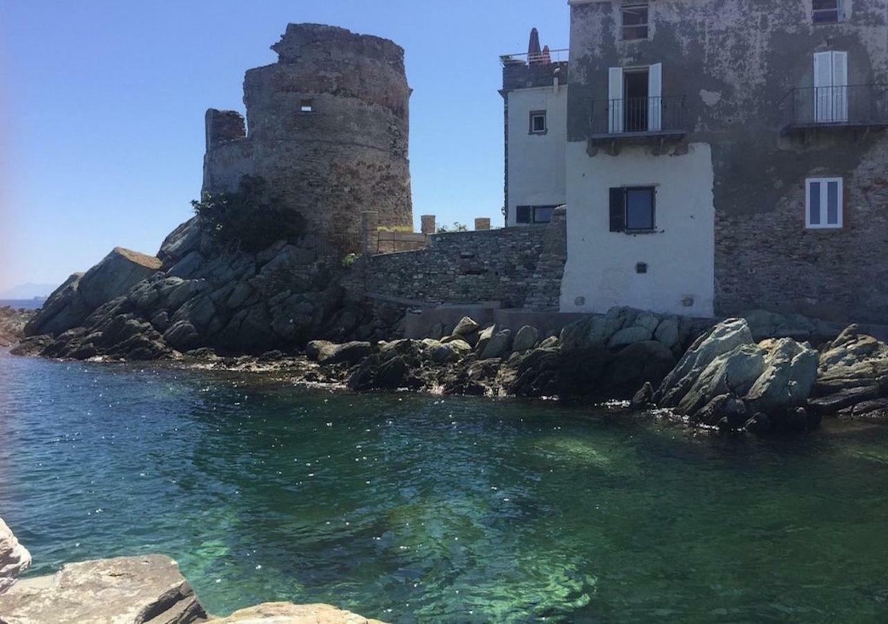 Apartament Vue Exceptionnelle Debut Cap Corse La Pier Noire San-Martino-di-Lota Zewnętrze zdjęcie